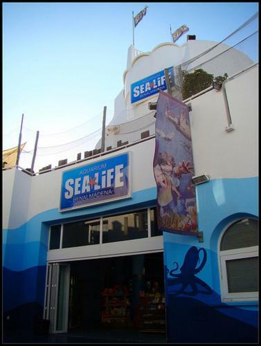 Lejlighed Costa Sol